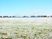 Winter WonderlandMy Winter Photography. Upton Country Park