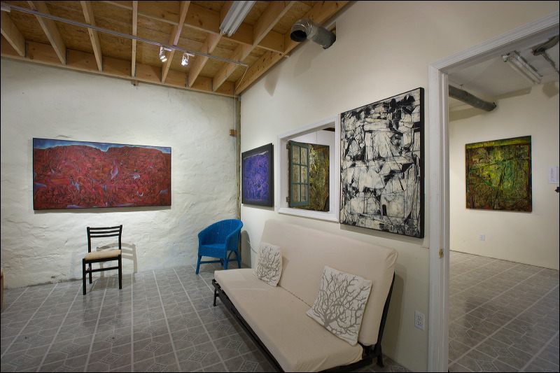 The Artist Profiles Project Havertown Studio Open House, May 2010