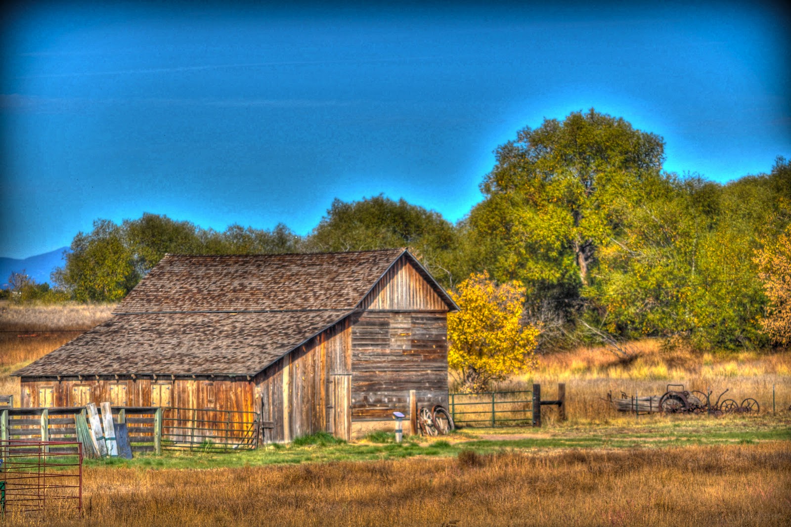 OH SNAP! Life's Great Treasures and Adventures Sandstone Ranch, Longmont Colorado