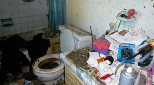 [Picture-Dose-28012010-019.jpg]