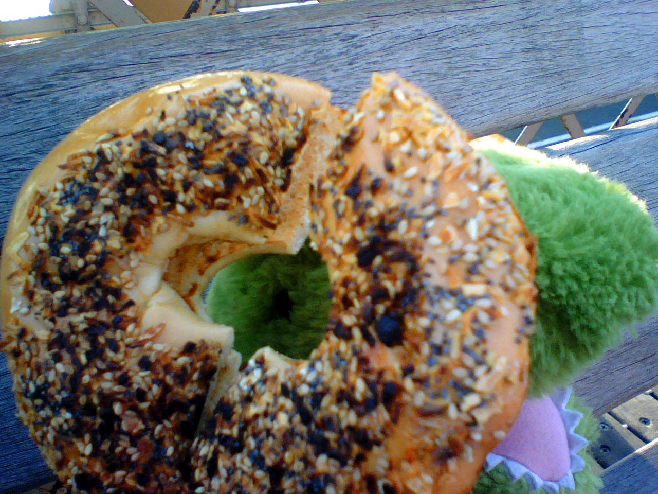 TRex NYC Hegel and Bagels on the Brooklyn Bridge