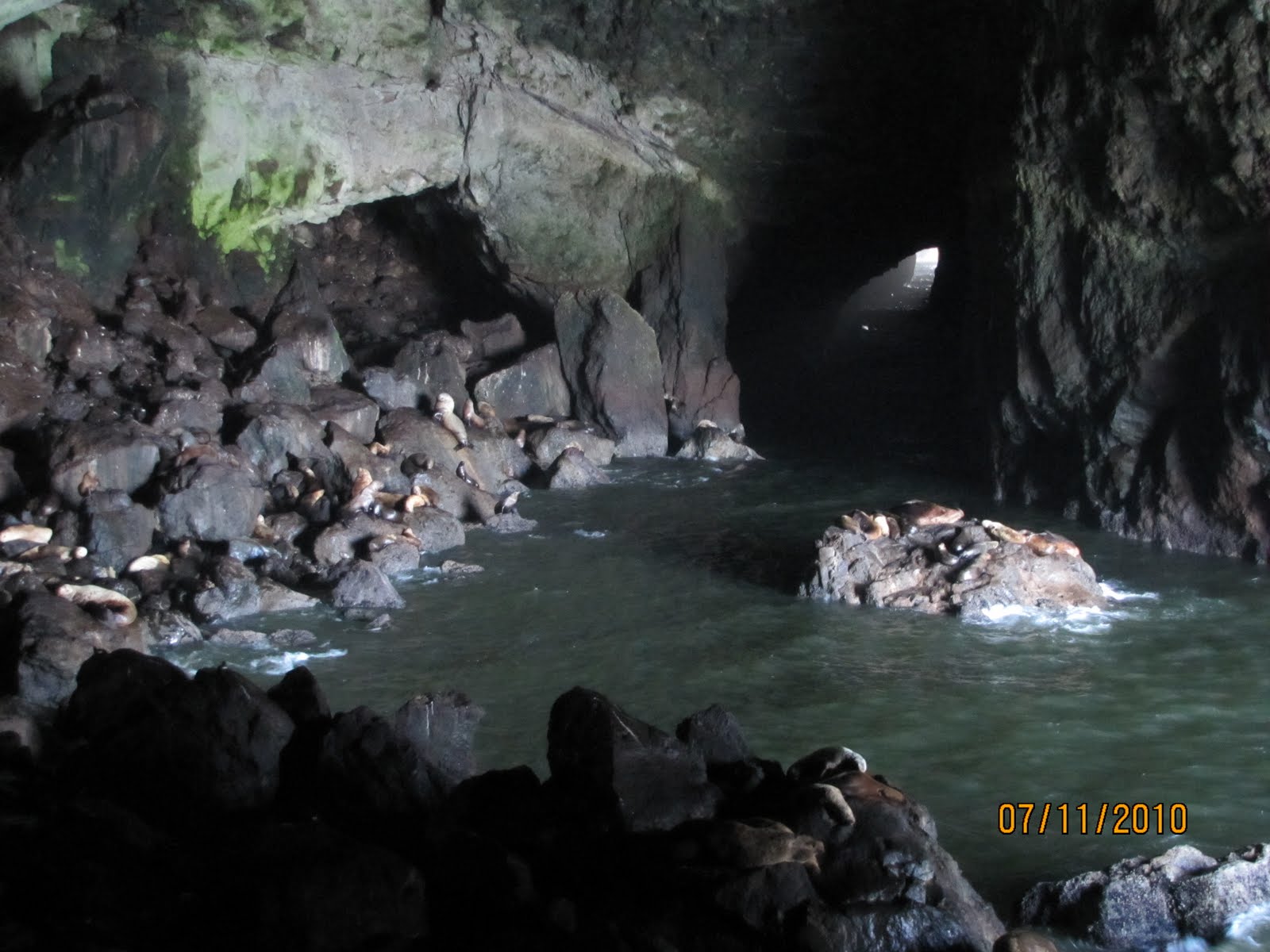 The RV Adventures of Art & Diane White City, Oregon to Eugene, Oregon