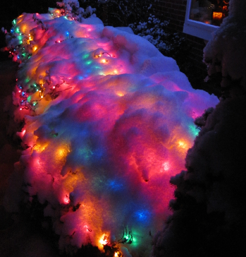 christmas snow lights Best Celebrity Pictures