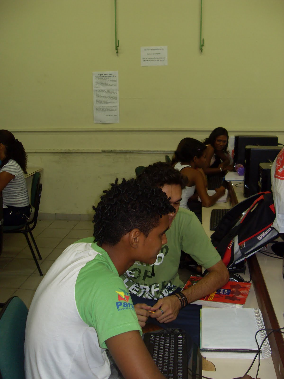 E.E.E.F.M PAULINO DE BRITO: 2010