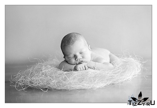 [image026-793472.jpg]