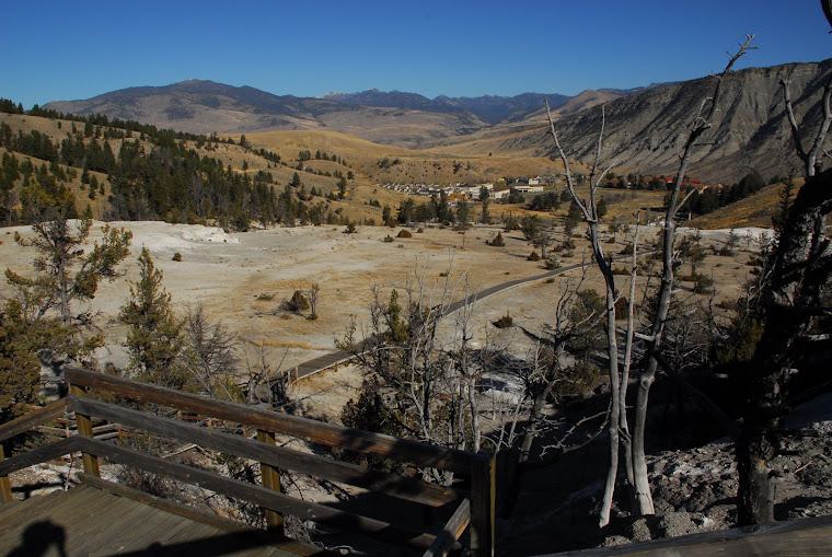Mammoth Hot Springs and Village