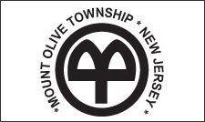 Mount Olive Township council meetings