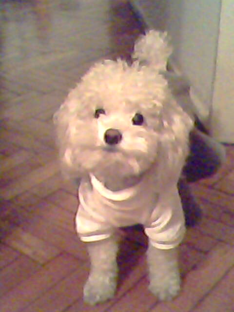 [IMG0147A.jpg]