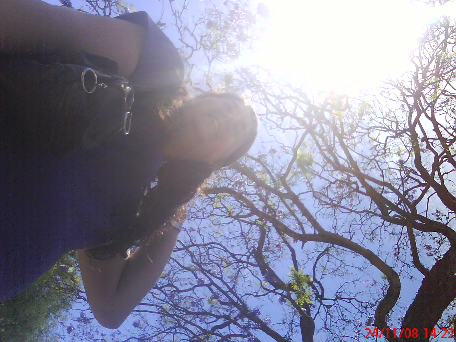 [DSC01229.JPG]