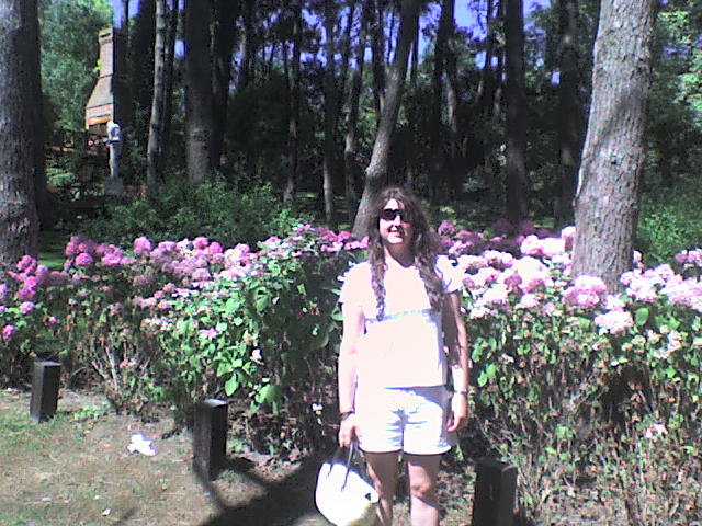 [DSC00075.JPG]