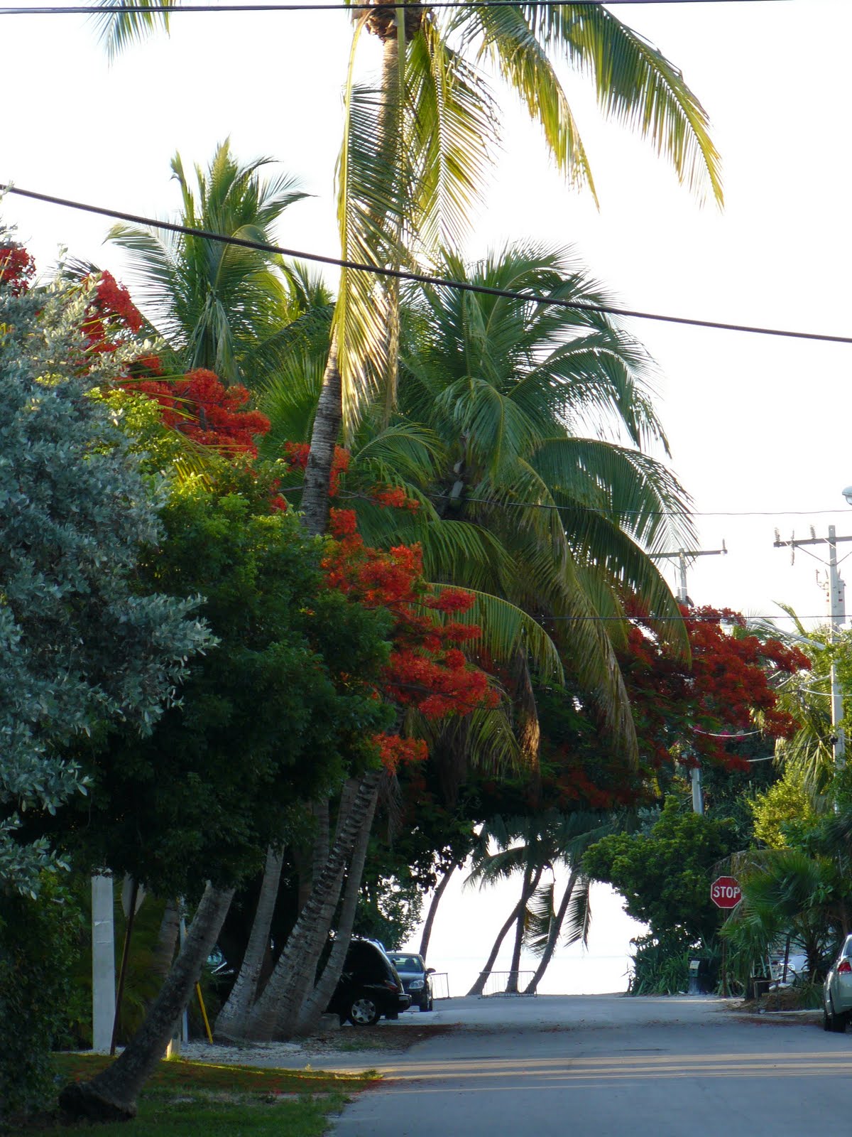 Sweet Home Alabama Key West