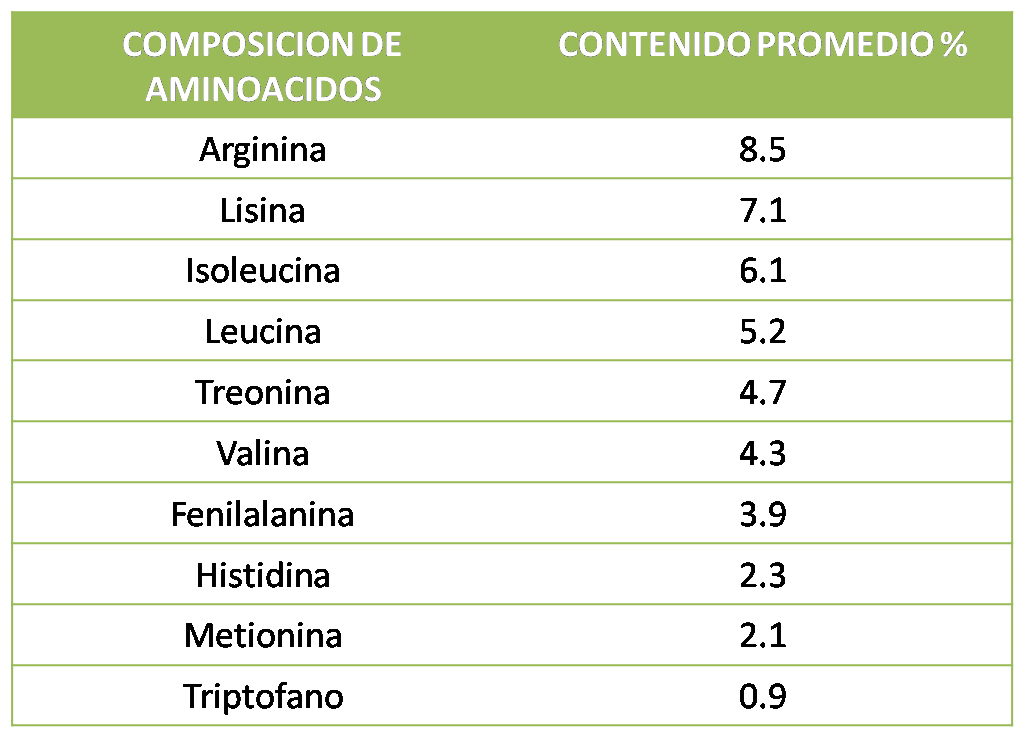 KIWICHA INTER Valor Nutricional