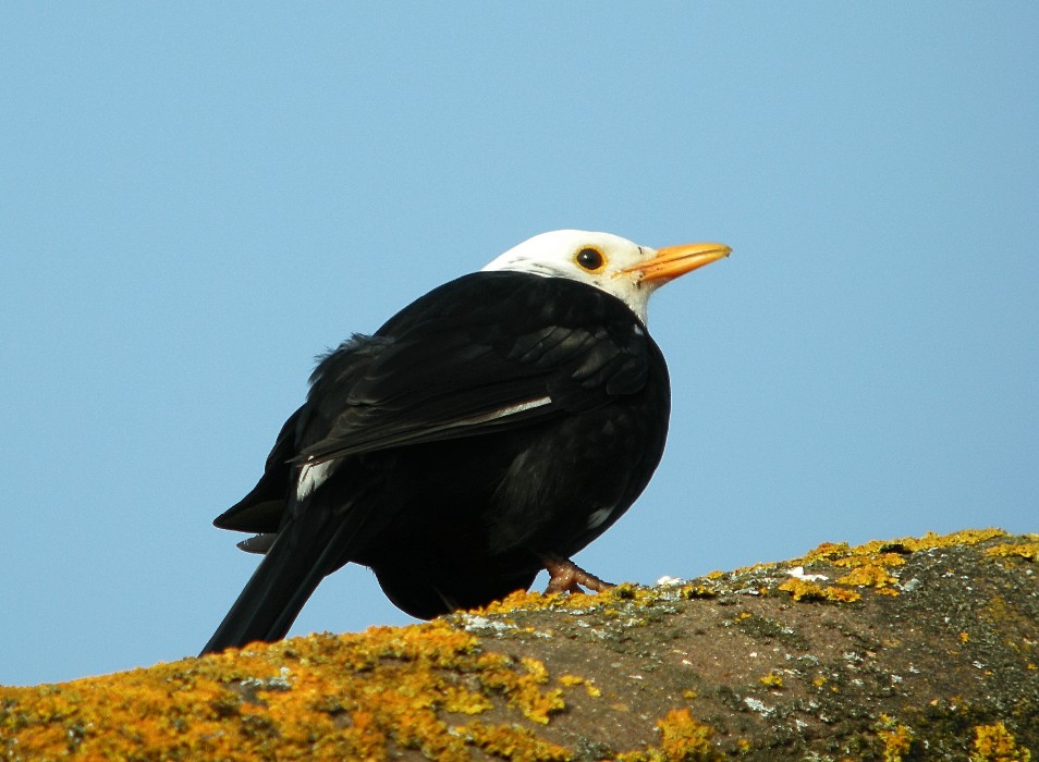 JRandSue Our visit to England