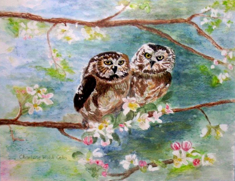 [Owls+in+the+Cherry+Blossoms.jpg]