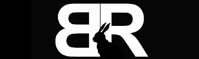 Br что это. Br лого. Логотип br. Br что это. Бр буквы.