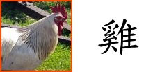 Chinese Zodiac Sign : Rooster