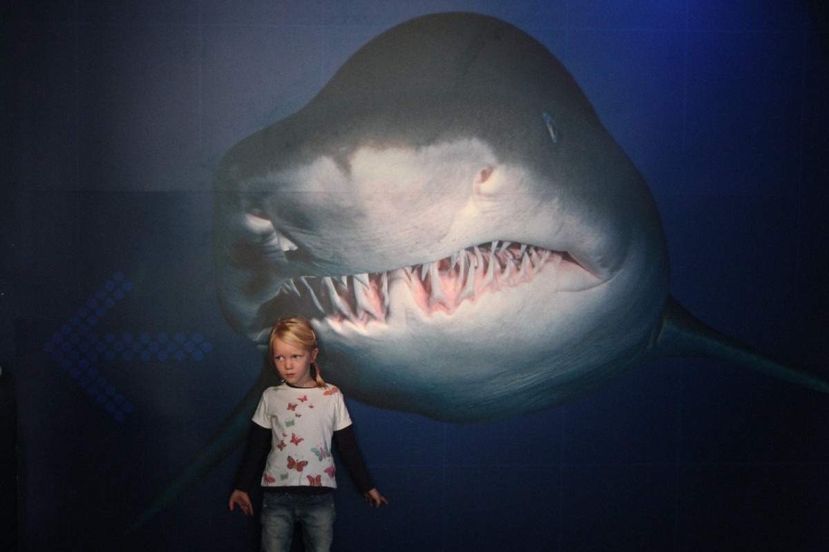 family on tour: Sydney Aquarium