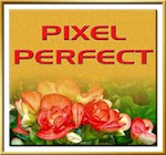 Pixel Perfect Award
