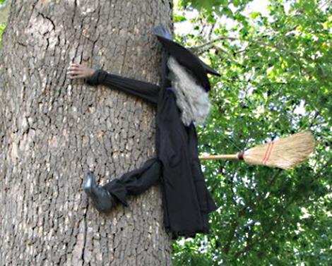 [witch%20in%20tree.jpg]