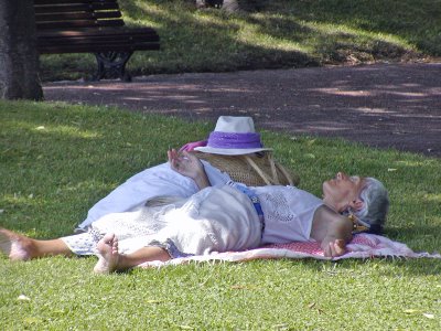 [Jardim-Afonso de Albuquerque.jpg]