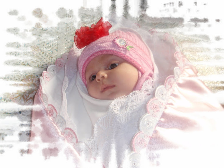 Vintila Madalina Ioana cel mai mic membru in familie