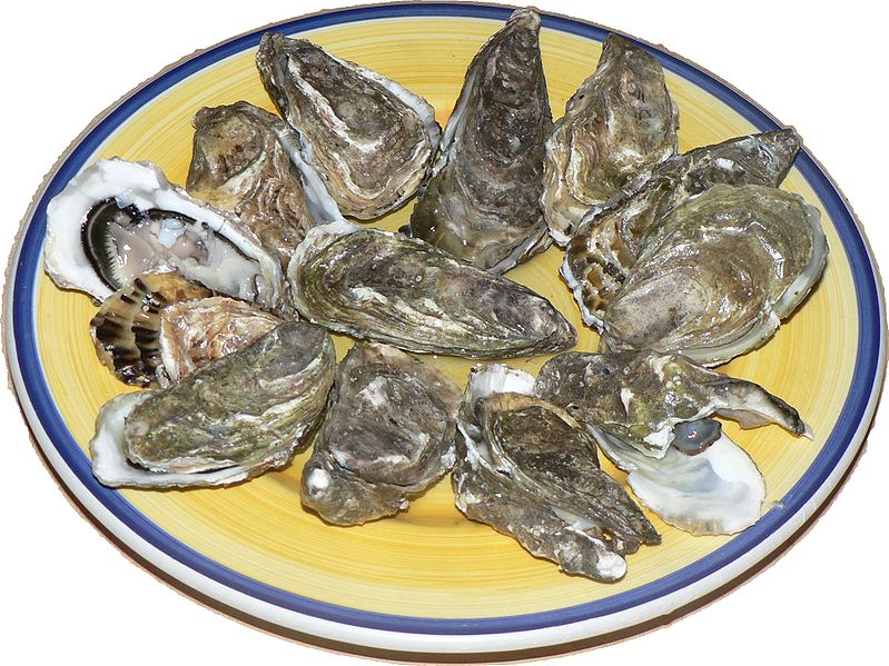 [799px-Oysters_p1040741.jpg]