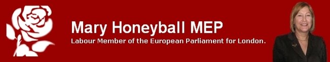 Mary Honeyball MEP