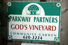 God's Vineyard Community Garden