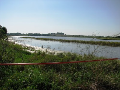 Timber Life: Iowa Waterfowl Seasons Approaching