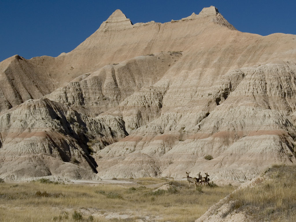 BENTUK LAHAN DENUDASIONAL PDF