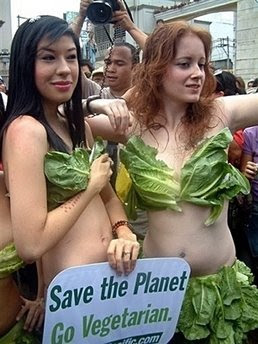 People for the Ethical Treatment of Animals (PETA) activists dressed with fresh lettuce leaves pose for photographers in Manila on April 18. Steaks out of a test-tube? The animal rights group PETA is putting up a million dollar reward for anyone who by 2012 can grow in-vitro meat that looks and tastes like the real thing.