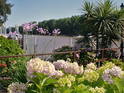 Plan V artesanías: El jardín...