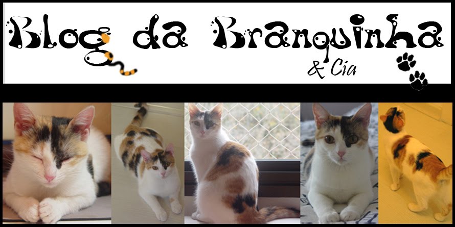 Blog da Branquinha & Cia