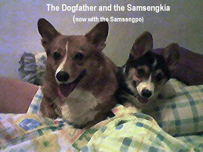 The Dogfather and the Samsengkia