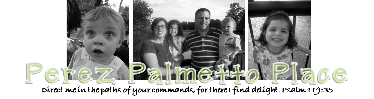 Perez Palmetto Place