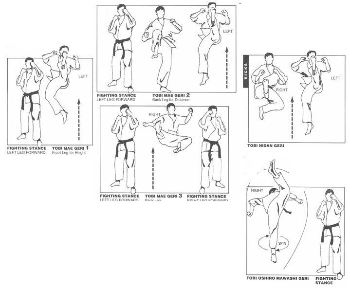 Карта ганкаку каратэ