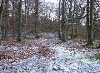 Römerschanze bei Grünwald von außen Römerschanze bei Grünwald von außen