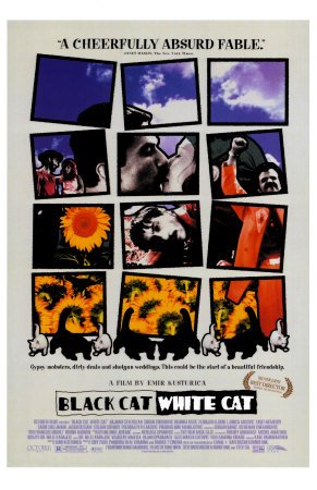 [Black-Cat-White-Cat.jpg]