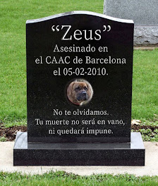 Zeus, no nos olvidamos...