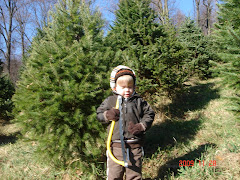 Cutting own tree in PA!