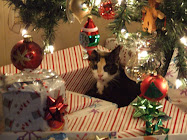 Prissy