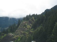 Some brief sunshine on the canyon