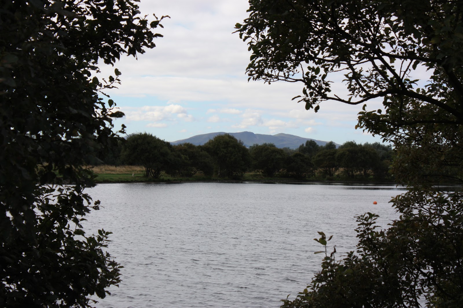 Crafty Green Poet Musselburgh Lagoons
