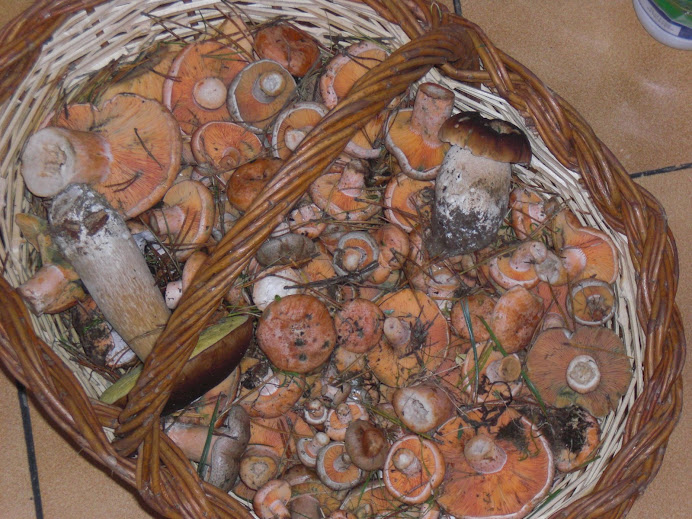 aquets no cal que passin pel mercat de vic!!