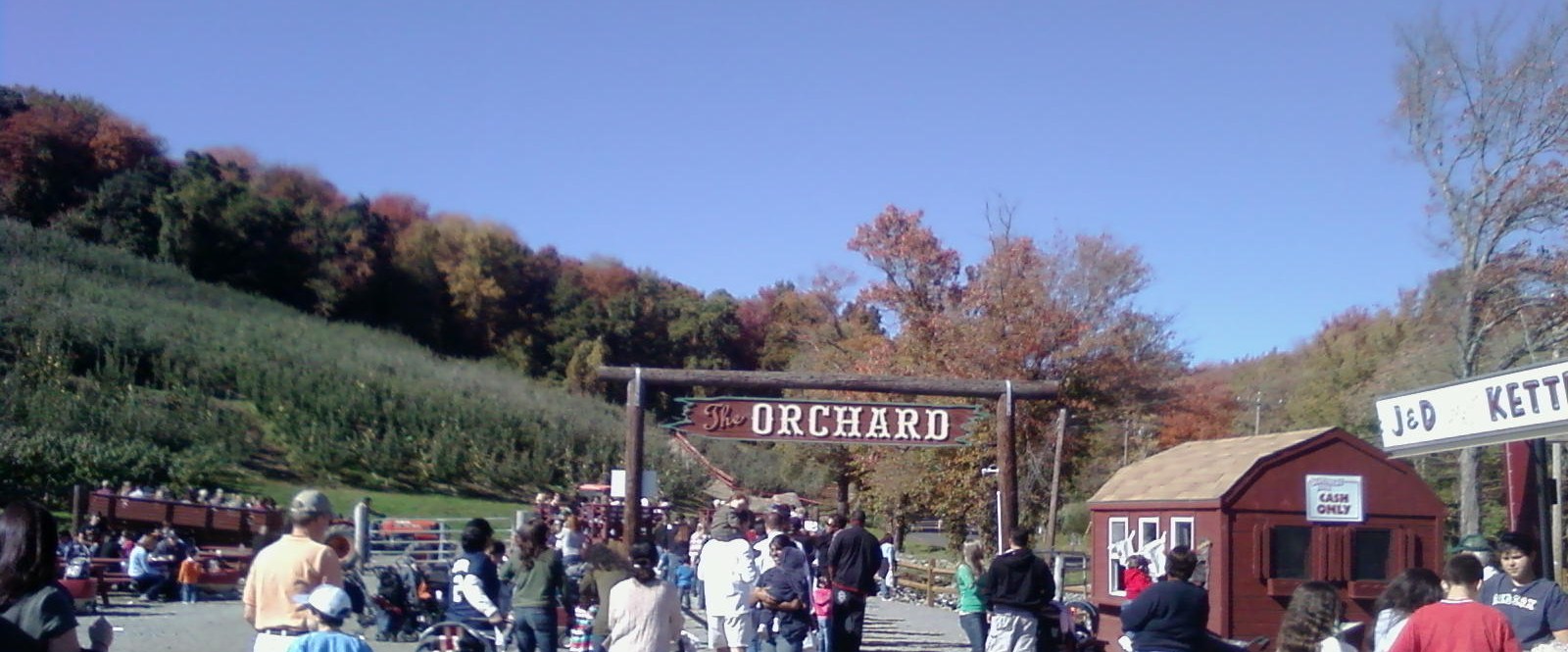 Spice Lovely Silverman's Farm