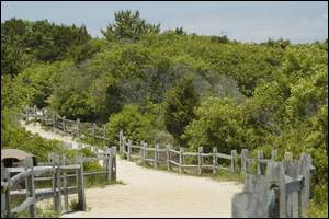High Dunes