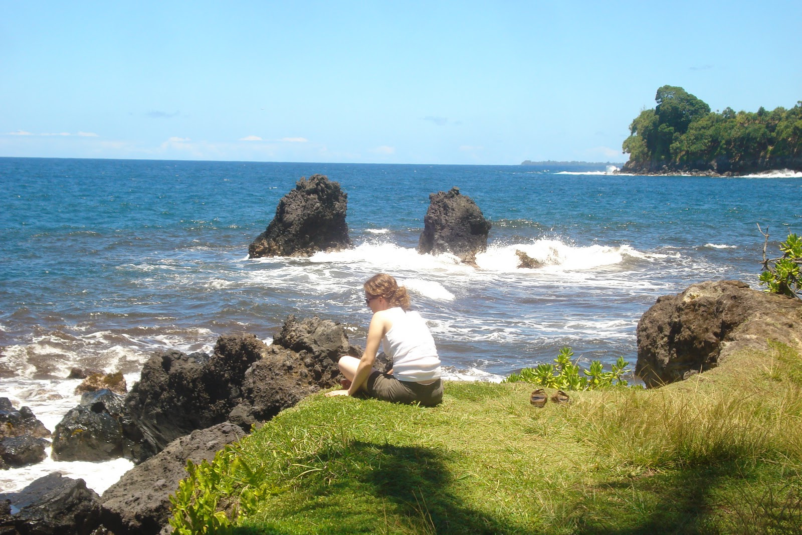 TDY Lodging Schofield Barracks Lodging