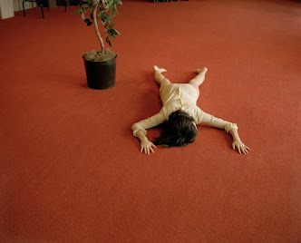 Image of the Day