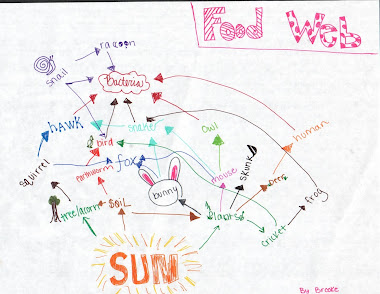 Food Web