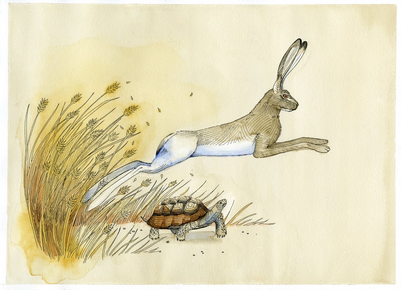 Притча заяц. Заяц. Заяц бежит. Заяц иллюстрация. Заяц картина.